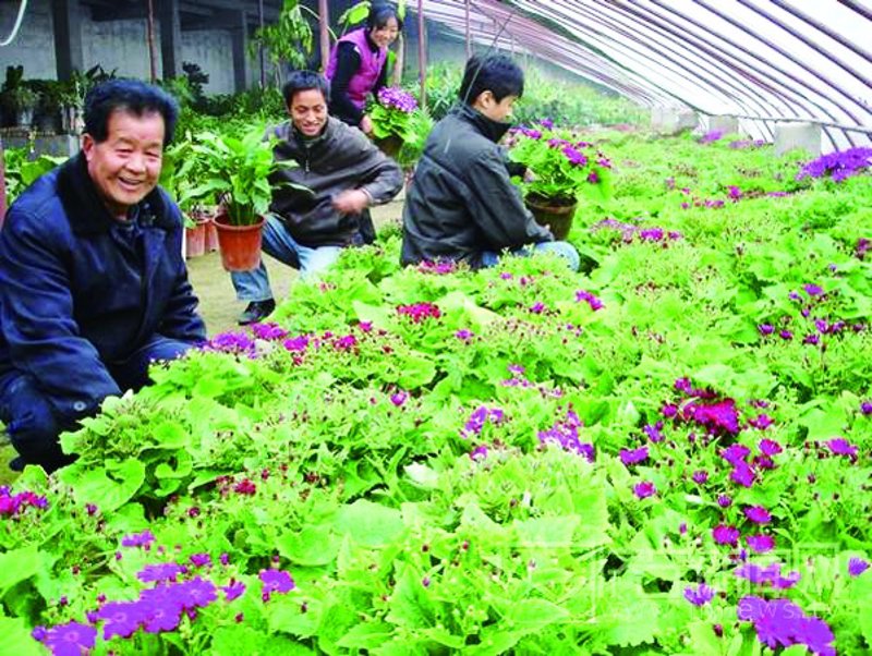 大棚骨架在农业种植中的创新应用