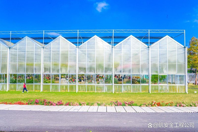 农业新时代：连栋温室如何引领现代农业发展