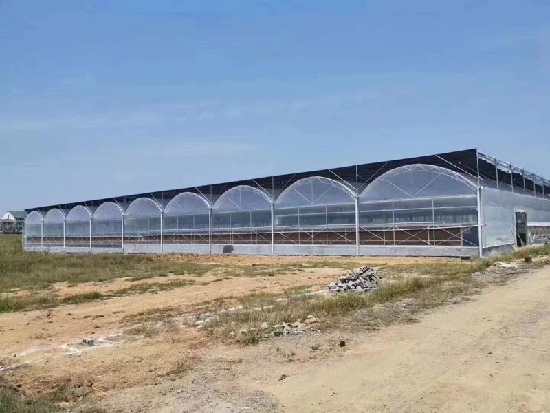 温室大棚技术革新与应用前景